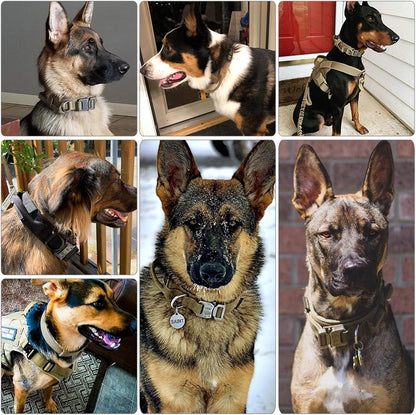 Fast Shipping Durable Military Tactical Dog Collar