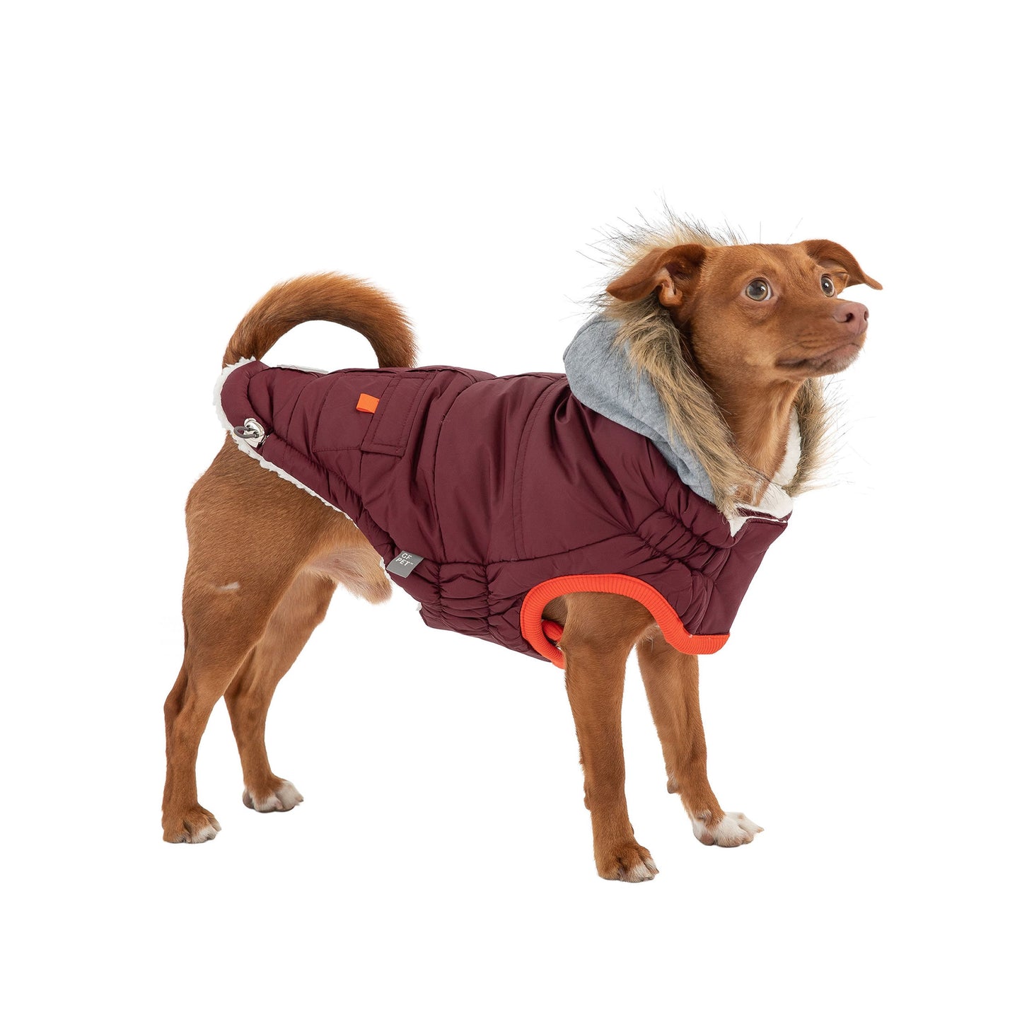 winter sailor dog parka GF PETS - Burgundy