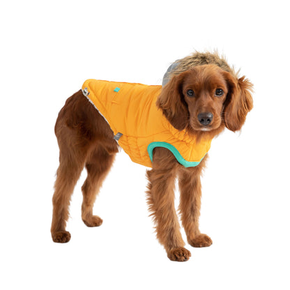 winter sailor dog parka GF PETS- Yellow