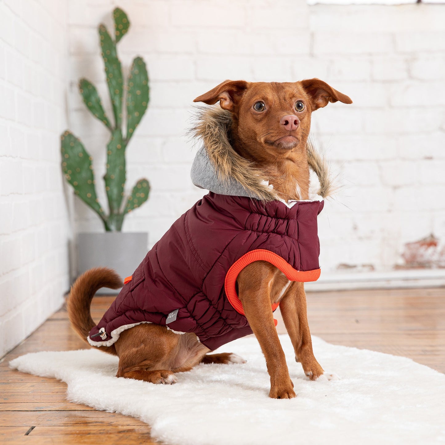 winter sailor dog parka GF PETS - Burgundy