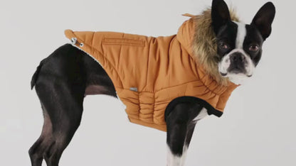 winter sailor dog parka GF PETS - Burgundy