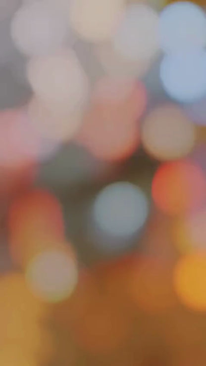 Dog harness, tactical dog harness